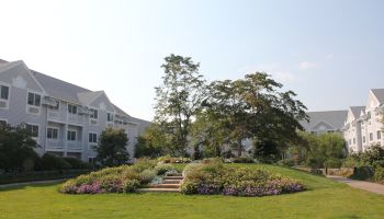 A sunny residential garden with a circular flower bed, trimmed lawn, and white apartment buildings in the background, framed by trees.