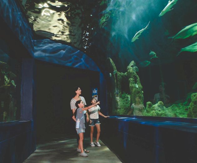 Three people walk through a dim aquarium tunnel, watching large fish swim overhead in blue-green water.